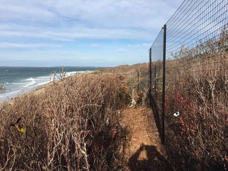 7.5' High Deer Fence