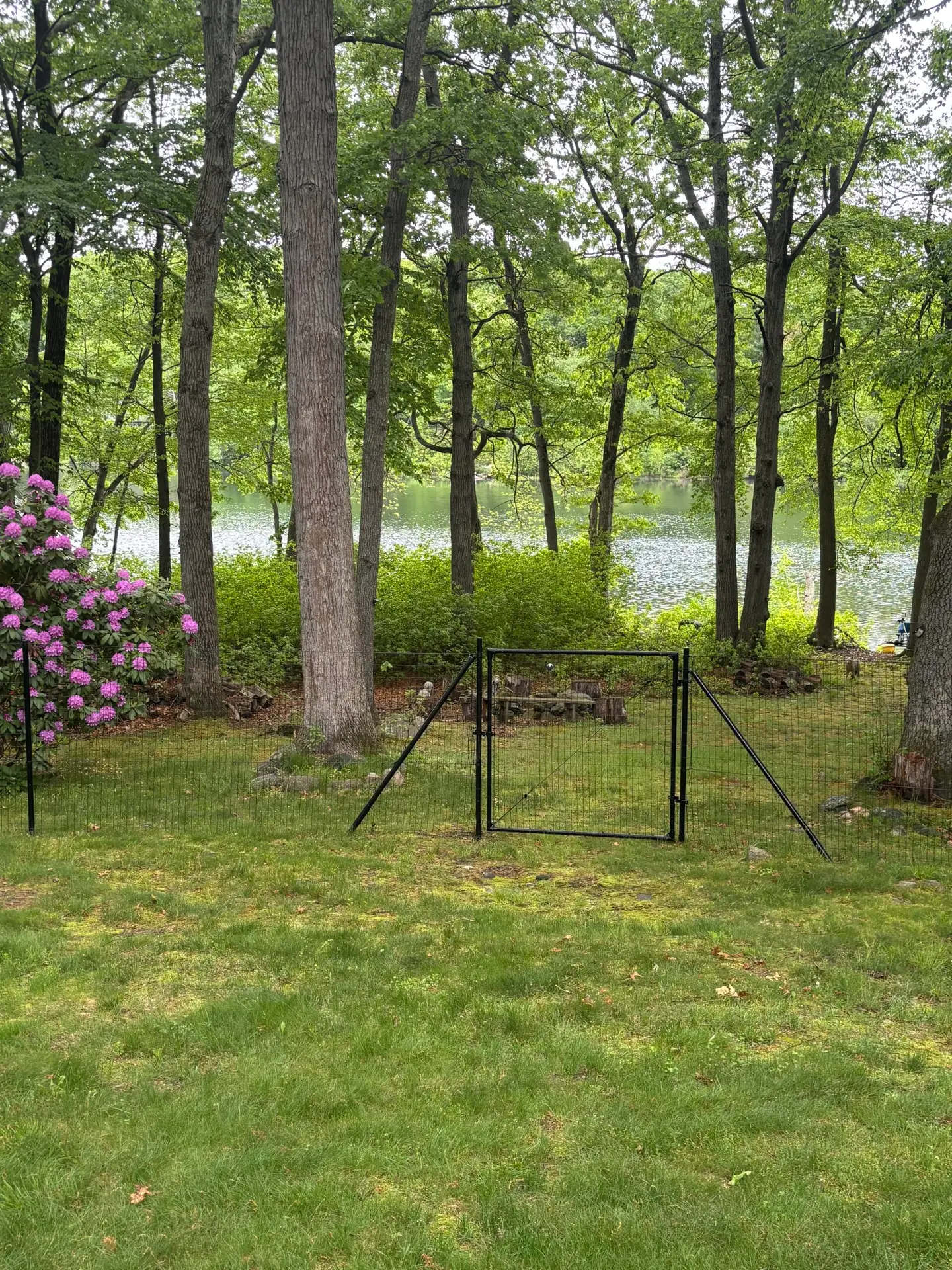 A 5' high dog fence with a gate and behind the fence is a pond.